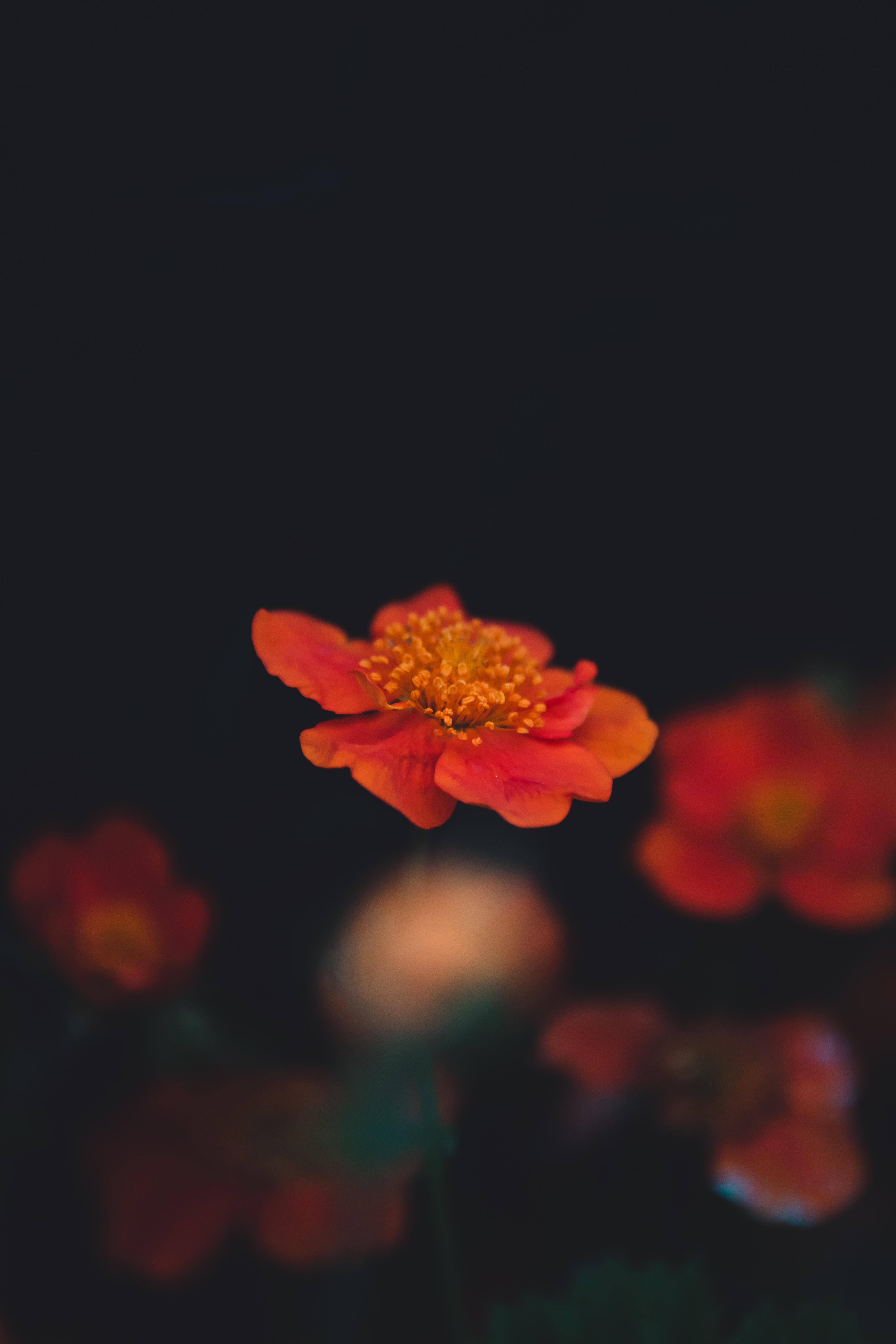 Photo by Andriyko Podilnyk